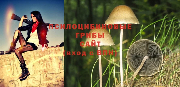 дмт Абдулино